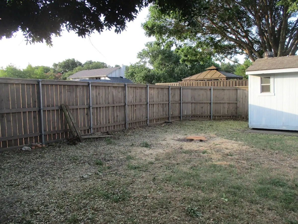 Cleared yard after professional tree removal in Pocasset